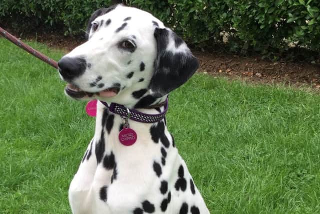 Penny, as she is today.