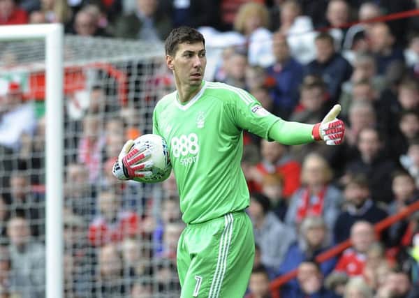 Forest's giant keeper Costel Pantilimon