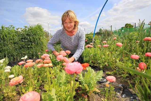 Linda Clark is heading to Chelsea Flower Show and her flowers will form part of the display produced by members of Flowers from the Farm who are making their debut at Chelsea this year in the Great Pavilion.