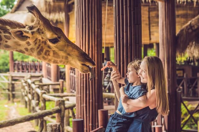 what about outdoor attractions, such as zoos? Here’s what you need to know about when they might open (Photo: Shutterstock)